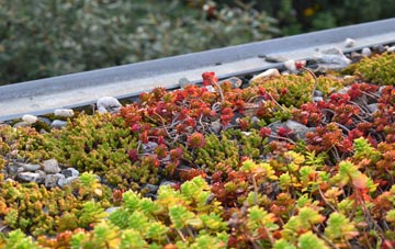 the cost of Durris Ho green roof installation