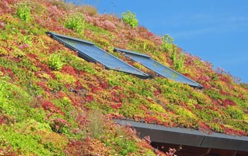 Durris Ho living roof systems