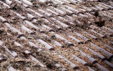 Durris Ho roof cleaning companies